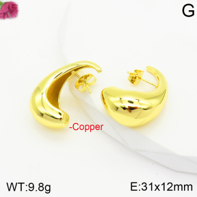 Fashion Copper Earrings  F2E200539vbnb-J40