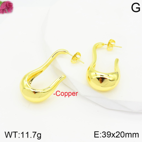 Fashion Copper Earrings  F2E200540bbov-J40