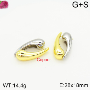 Fashion Copper Earrings  F2E200541bbov-J40