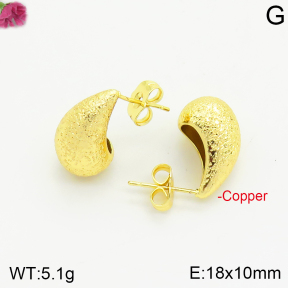 Fashion Copper Earrings  F2E200542vbnb-J40