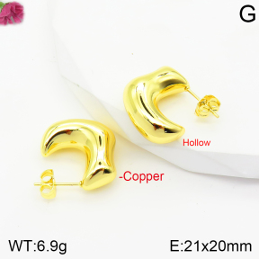 Fashion Copper Earrings  F2E200545vbnb-J40