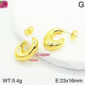 Fashion Copper Earrings  F2E200548vbnb-J40