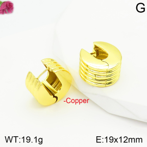 Fashion Copper Earrings  F2E200550bbov-J40