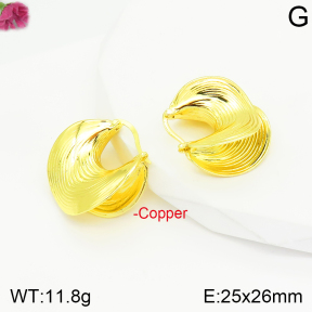 Fashion Copper Earrings  F2E200552vbnb-J40