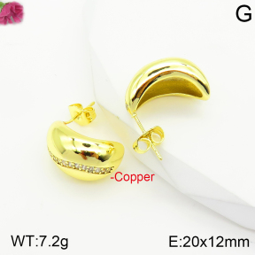 Fashion Copper Earrings  F2E401074vbnb-J40