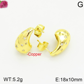 Fashion Copper Earrings  F2E401076vbnb-J40