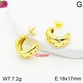 Fashion Copper Earrings  F2E401077vbnb-J40