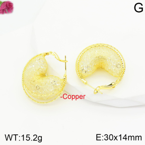 Fashion Copper Earrings  F2E401078vbnb-J40
