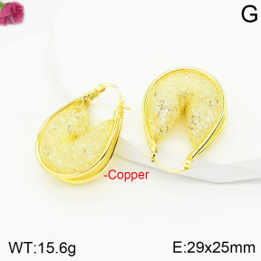 Fashion Copper Earrings  F2E401079vbnb-J40