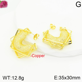 Fashion Copper Earrings  F2E401080vbnb-J40