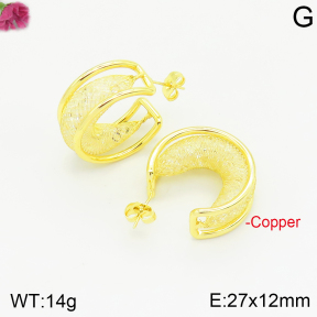 Fashion Copper Earrings  F2E401081vbnb-J40