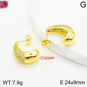 Fashion Copper Earrings  F2E401082bbov-J40
