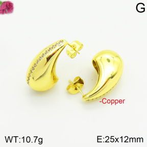 Fashion Copper Earrings  F2E401083vbnb-J40