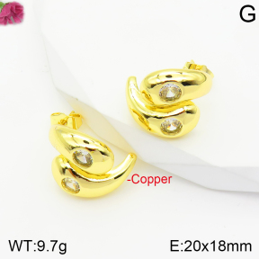 Fashion Copper Earrings  F2E401085vbnb-J40
