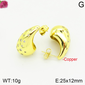 Fashion Copper Earrings  F2E401086bbov-J40