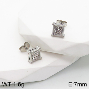 Stainless Steel Earrings  5E4002714bbov-738