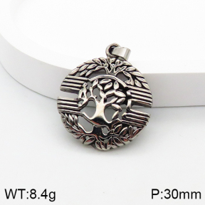 Stainless Steel Pendant  5P2002319vbnb-367
