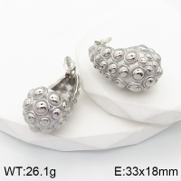 Stainless Steel Earrings  Handmade Polished  5E2003322bhva-066