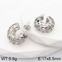 Stainless Steel Earrings  Handmade Polished  5E2003326vbpb-066