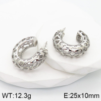 Stainless Steel Earrings  Handmade Polished  5E2003328bhva-066