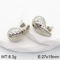 Stainless Steel Earrings  Handmade Polished  5E2003344bhva-066