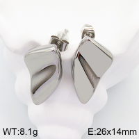 Stainless Steel Earrings  Handmade Polished  5E2003370vbpb-066