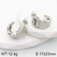 Stainless Steel Earrings  Handmade Polished  5E2003413vbpb-066