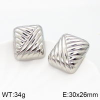 Stainless Steel Earrings  Handmade Polished  5E2003420bhva-066