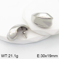 Stainless Steel Earrings  Handmade Polished  5E2003421bhva-066