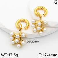 Stainless Steel Earrings  Plastic Imitation Pearls,Handmade Polished  5E3001358bhia-066