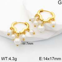 Stainless Steel Earrings  Plastic Imitation Pearls,Handmade Polished  5E3001359bhia-066