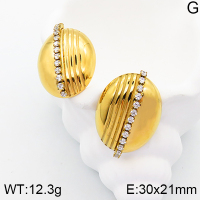 Stainless Steel Earrings  Zircon,Handmade Polished  5E4002723bhia-066