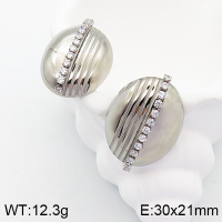Stainless Steel Earrings  Zircon,Handmade Polished  5E4002724bhva-066