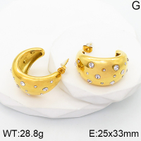 Stainless Steel Earrings  Czech Stones,Handmade Polished  5E4002730bhia-066