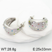 Stainless Steel Earrings  Czech Stones,Handmade Polished  5E4002731bhva-066