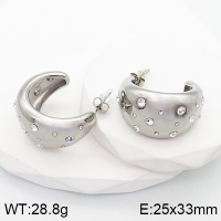 Stainless Steel Earrings  Czech Stones,Handmade Polished  5E4002732bhva-066