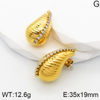 Stainless Steel Earrings  Zircon,Handmade Polished  5E4002738ahlv-066