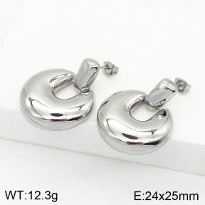 Stainless Steel Earrings  Handmade Polished  2E2002406bhia-066