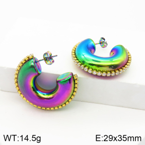 Stainless Steel Earrings  Zircon,Handmade Polished  2E4002565vhmv-066