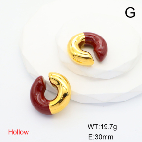 Stainless Steel Earrings  Enamel,Handmade Polished  6E3002541vhmv-066