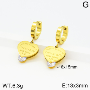 Tiffany & Co  Earrings  PE0174736bbml-434