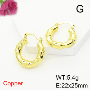 Fashion Copper Earrings  F6E200439vbnb-L017