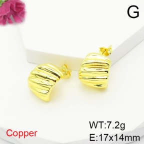 Fashion Copper Earrings  F6E200452vbmb-L017