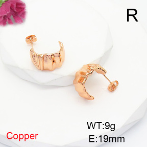 Fashion Copper Earrings  F6E200463vbmb-L017