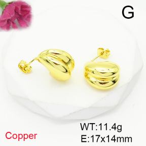 Fashion Copper Earrings  F6E200466vbmb-L017