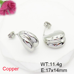 Fashion Copper Earrings  F6E200467vbmb-L017