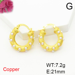 Fashion Copper Earrings  F6E301727bbov-L017