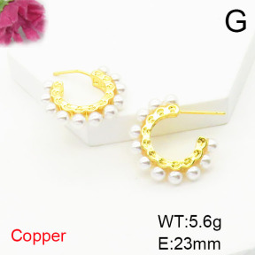 Fashion Copper Earrings  F6E301728vbnb-L017