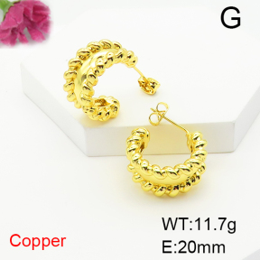 Fashion Copper Earrings  F6E404762vbnb-L017