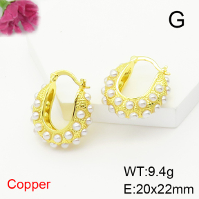 Fashion Copper Earrings  F6E404776bbov-L017